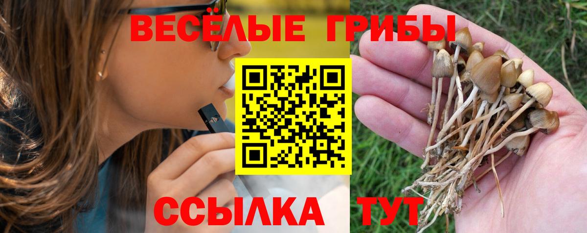 Галлюциногенные грибы Magic Shrooms  Вход с VPN  Мегион 